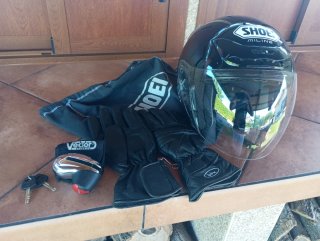 CASCO Y GUANTES MILINE, PINZA ANTIRROBO VECTOR.