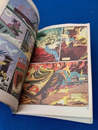 COMIC TAPA DURA BATMAN VS CATWOMAN