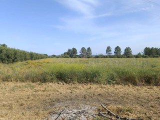 Terreno en venta en Alcover