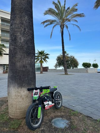 Moto Infantil Kawasaki WSBK