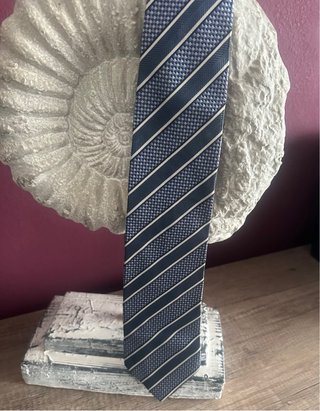 Corbata Vinicius Rayas Azules y Plateadas