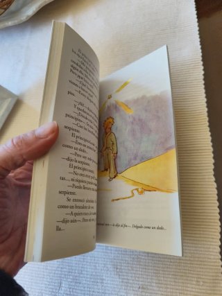 El Principito / The Little Prince