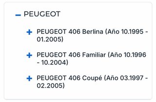 Faro Derecho Peugeot 406 (95-05)