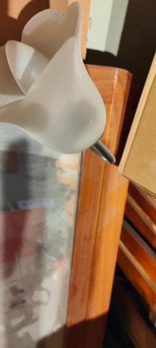 Armario de madera con puerta de cristal