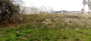 Terreno en venta en Olleria (l´)