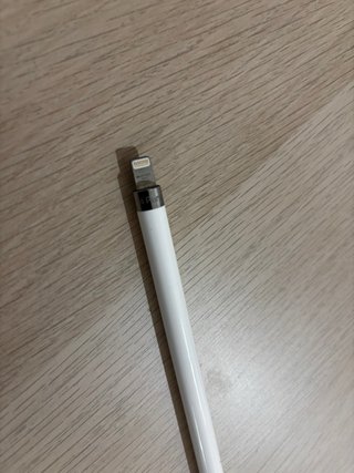 Apple Pencil 1ª Gen