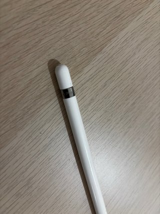 Apple Pencil 1ª Gen