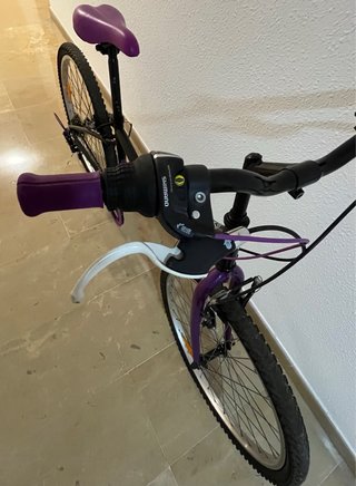 Bicicleta Niña Montaña 24”