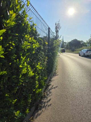 Jardinero