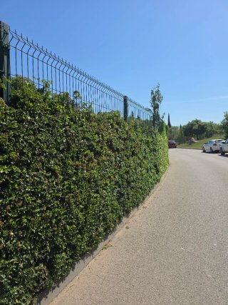 Jardinero
