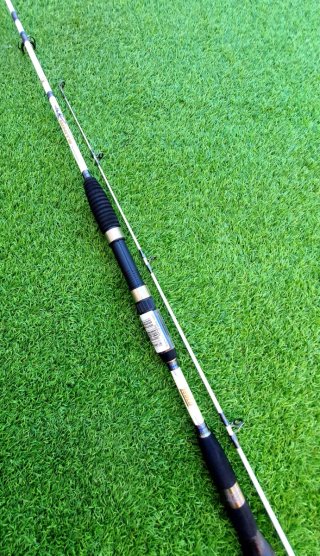 Caña Spinning, Caña Jigging, Kayak Pesca
