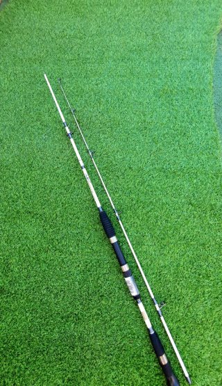 Caña Spinning, Caña Jigging, Kayak Pesca