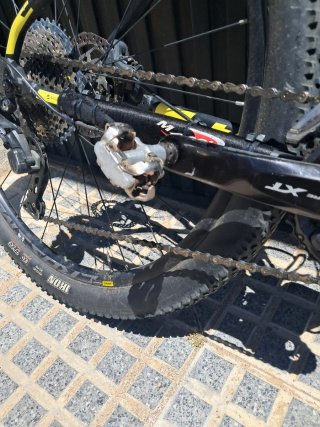 Bicicleta MMR 29 Talla S Modelo Zen 2024