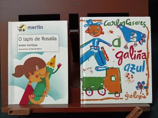 Lote 5 libros infantís en galego (de 6 a 9 anos)
