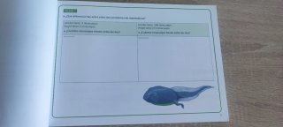 programa instrucciones escritas matemático TDAH