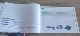 programa instrucciones escritas matemático TDAH