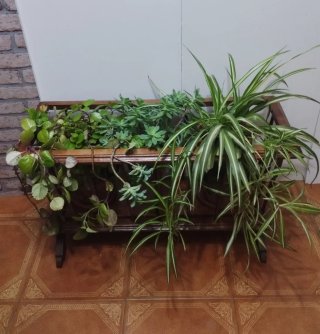 Jardinera de madera grande