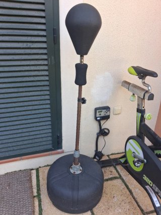 Bicicleta Spinning Pro-Form y Punching Ball