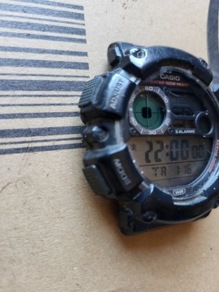 Reloj Casio WS-1500H