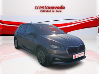 DESDE 237€ AL MES SIN ENTRADA SKODA FABIA GRIS