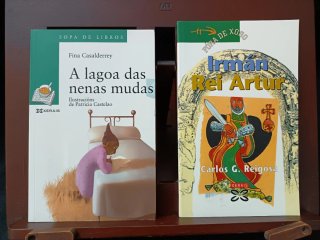 Lote 5 libros infantís en galego, de 10 a +12 años