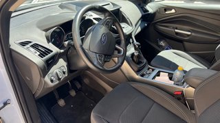 Ford Ford kuga  2019