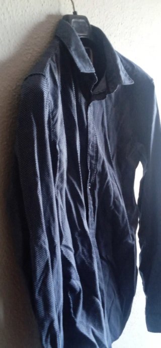 Camisa Springfield Azul y Blanca