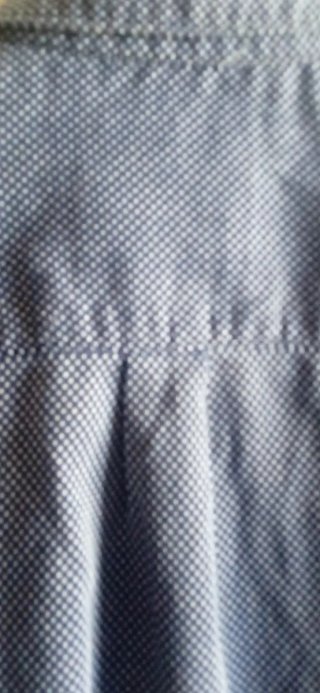 Camisa Springfield Azul y Blanca