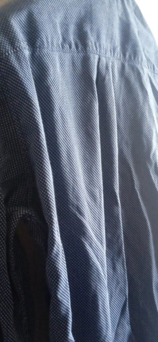 Camisa Springfield Azul y Blanca