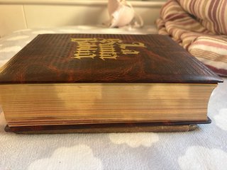 Biblia edición limitada “la santa biblia”