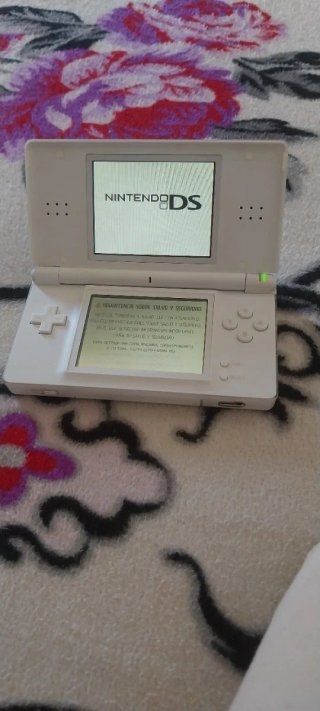 Consola Nintendo DS Blanca + Cargador y 4 Juegos