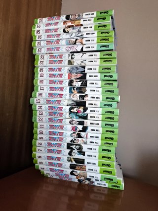 Bleach del 1 al 29