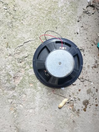 Altavoces Pioneer Ovalados