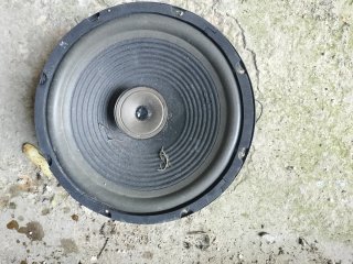 Altavoces Pioneer Ovalados