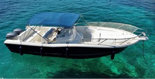 Barco White Shark 285 con 2 motores Yamaha 225cv