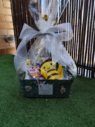 Mini Canastilla bebé recién nacido temática abejit