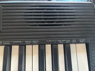 Piano Alesis Melody 61 Teclas