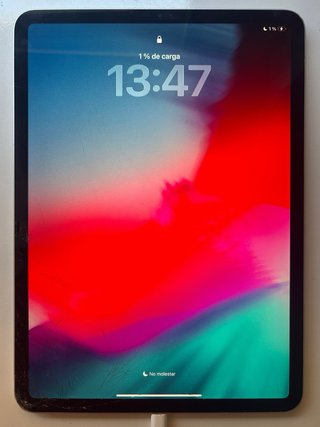 Apple iPad Pro 11 Multicolor