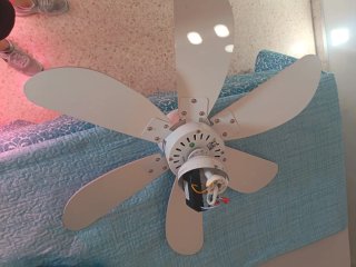 Lámpara Ventilador de Techo