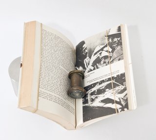LOS MITOS DE LA NOVELA CRIMINAL