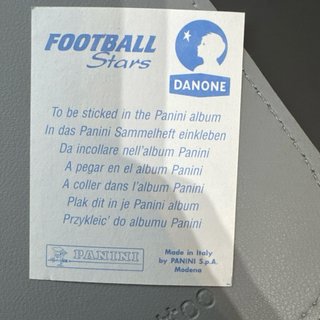 57 Cromos Fútbol Panini
