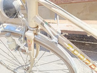 Bicicleta Clásica Vintage