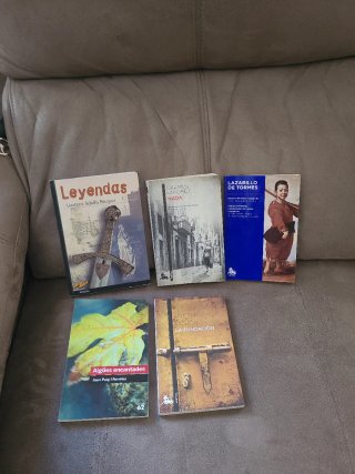 Libros lectura colegio