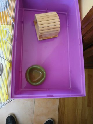 Jaula Hámster con Accesorios