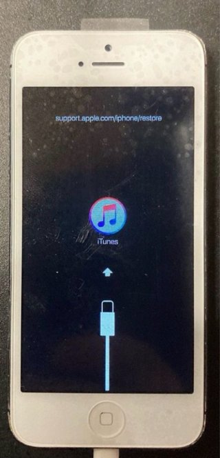 iPhone 5 Blanco/Plateado