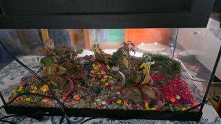 Acuario Decorado con Figuras (60x40x30cm)
