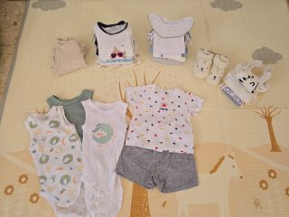 Lote Ropa Bebé 0-3 Meses