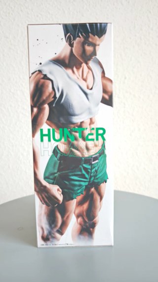 Gon Freecs Hunter x Hunter Exclusiva de Japon