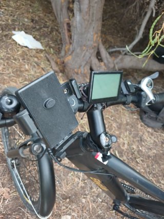 Bicicleta eléctrica y remolque de mascota