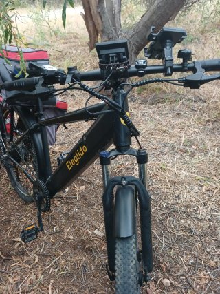 Bicicleta eléctrica y remolque de mascota